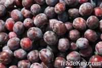 Sell Fresh Plums