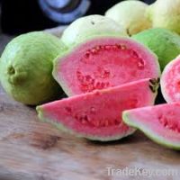 Sell Fresh Guava