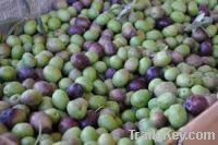 Sell  Fresh Olives