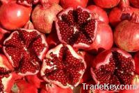 Sell Fresh Pomegranates