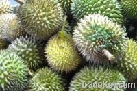 Sell Fresh Durians