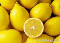 Sell Fresh Lemons