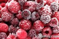 Sell Frozen Fruit