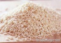 Sell Arborio Rice
