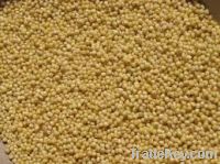 Sell Millet