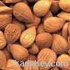 Sell  Apricot Kernels