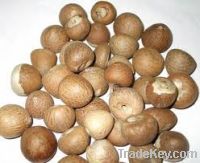 Sell  Betel Nuts