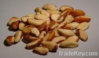 Sell  Brazil Nuts