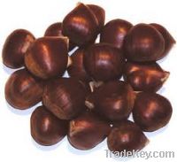 Sell  Chestnuts