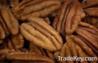 Sell Pecan Nuts