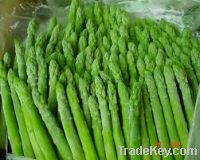 Sell Fresh Asparagus