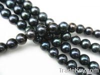 Sell Black color fresh water pearl loose beads
