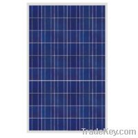 Sell 250W poly solar panel