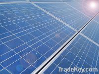 Sell 70W poly solar panel