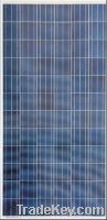 Sell 280 poly solar panel with TUV, CE certificates