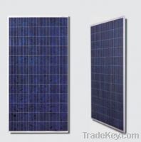 Sell 300W poly solar panel with high quality