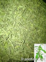 Sell Organic Stevia Leaf for Sale