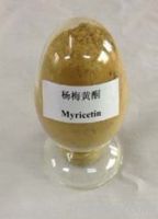 Sell myricetin 10-95%