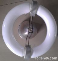 Sell low frequency induction lamp