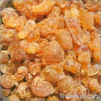 GUM ARABIC