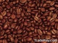 Export Coffee Beans | Arabica Coffee Beans Suppliers | Robusta Coffee Beans Exporters | Coffee Bean Traders | Wholesale Coffee Beans | Buy Coffee Beans | Bulk Coffee Bean | Green Coffee Bean Buyer | Low Price Roasted Coffee Bean | Import Coffee Bean | Cof