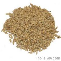 BARLEY MALT