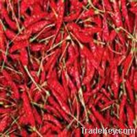 DRIED RED CHILI