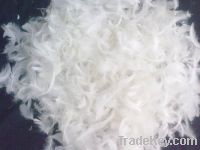 Sell Washed white goose feather