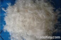 Sell Washed grey duck feather