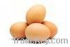 Fresh chicken eggs