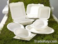 Sell disposable tableware, Paper cup, Lunch box, Dinnerware, biodegradable