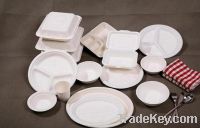 Sell eco-friendly disposable bowl, tray, dish, plate, lunch box, disposable
