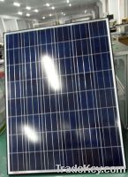 Sell Economy Type Poly-Crystalline Black Solar Panel 150W