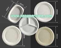 Sell compostable paper plate natural compostable in 180 days