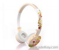 Wireless card noise cancelling headphone with FM radio