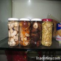 Sell Canned Mixed Mushrooms