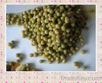 Sell Canned Green Pea