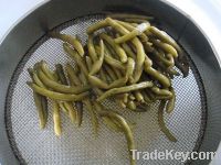 Sell Canned Green Bean whole or cut