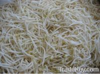 Sell Canned  mung Bean Sprouts