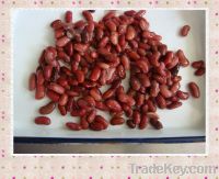 Sell Canned Red Kidney Bean