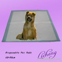 2012 Cute Puppy Pads