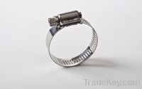 Sell American stainless steel clamps