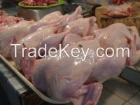 Best Quality Whole Chicken, Chicken Feet, Paws, Wings, Trumsticks, Thigh, and other Parts For Sale