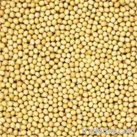  Maize | Maize Exporter | Corn Grain Seller | Maize Buyer | Bulk Maize Grain Importer | Corn bean Buyer | Corn bean Wholesaler | Corn Grain Manufacturer | Best Quality Corn Grain | Cheap Maize Supplier | Low Price Corn | Yellow Corn | White Cron | Baby Ma