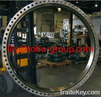 Sell superduplex S32205/F60 weld neck flange