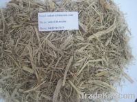 Sell Sugarcane Bagasse