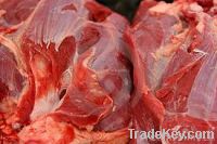 Export Buffalo Meat | Cow Meat Suppliers | Beef Exporters | Sheep Meat Traders | Goat Meat Buyers | Lamb Meat Wholesalers | Low Price Cow Meat | Buy Sheep Meat | Import Beef | Buffalo Meat Importers 