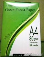 Sell Multi A4 Copy Paper for Office