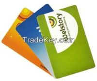 RFID Card/RFID PVC Card/RFID I Code Sli Card (ICODE SLI ICODE SLI-L ICODE SLI-S)