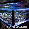 Sell 88x3w led aquarium light